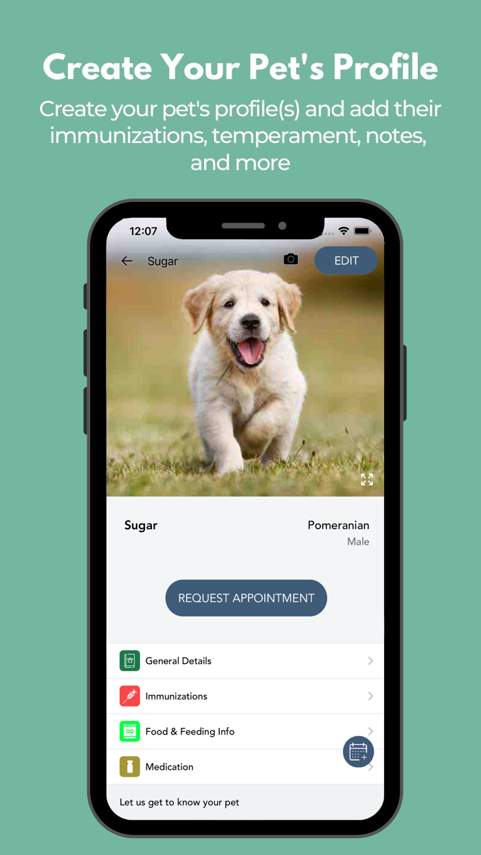 Pups N Paws Playcare