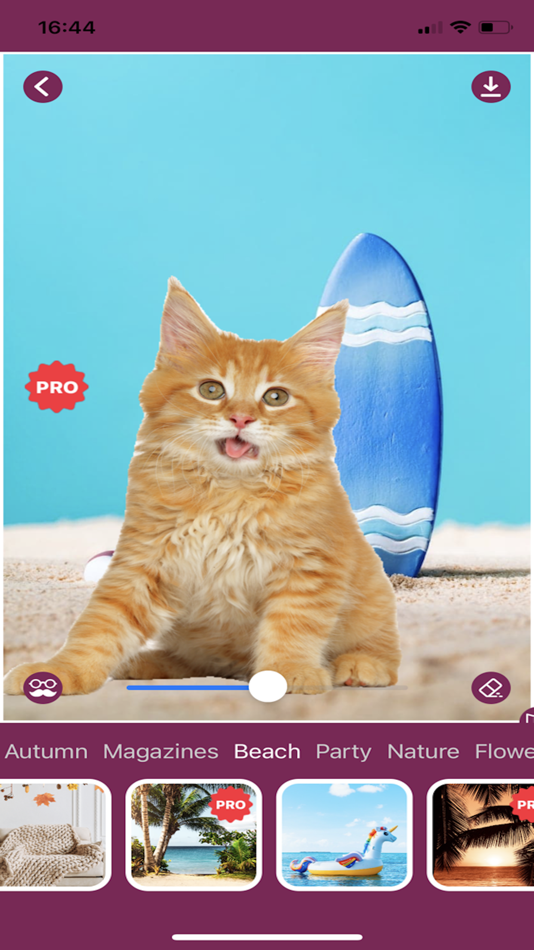 #6. Cat Photo Editor! (iOS) Ved: Random Step