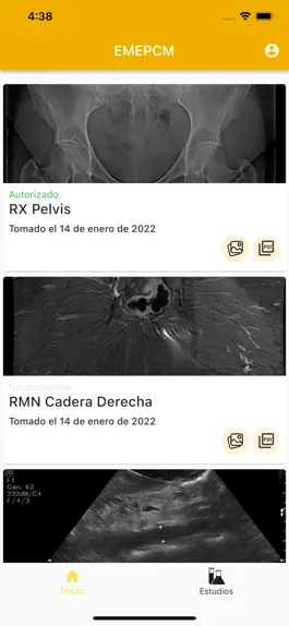 Game screenshot EMESALUD PCM hack