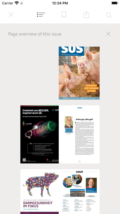 Schweinezucht und Schweinemast Screenshot