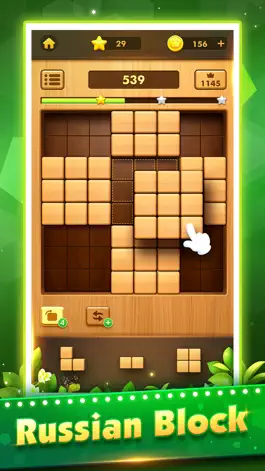 Game screenshot Wood Block Puzzle Games:Tetria apk