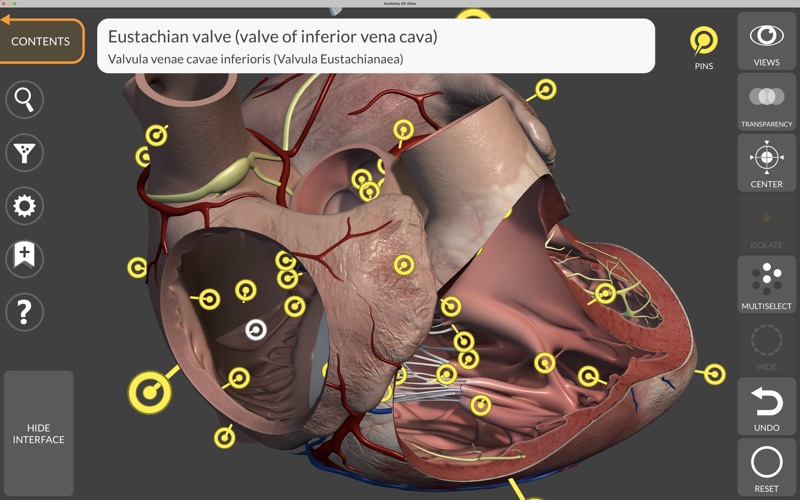 Anatomy 3D Atlas Screenshot