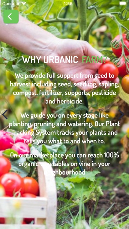 UrbanicFarm screenshot-4