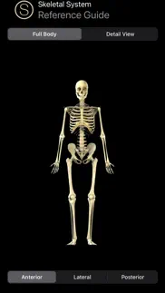 skeleton study guide iphone screenshot 1