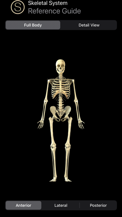 Screenshot #1 pour Skeleton Study Guide