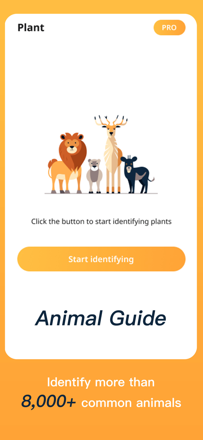 AnimalsSnap-Animal Identifier