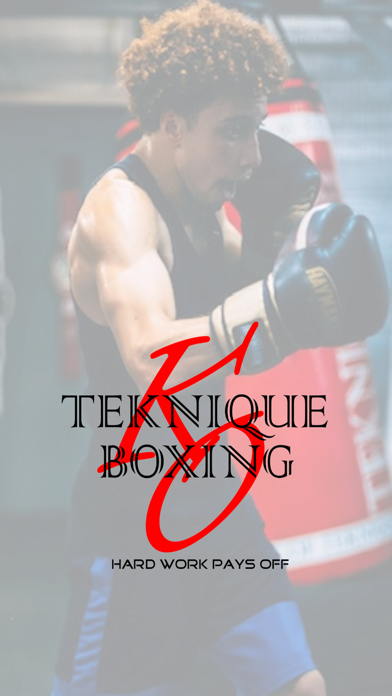 Teknique Boxing Screenshot