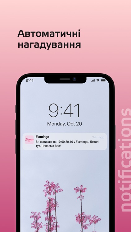 Студія Flamingo screenshot-8
