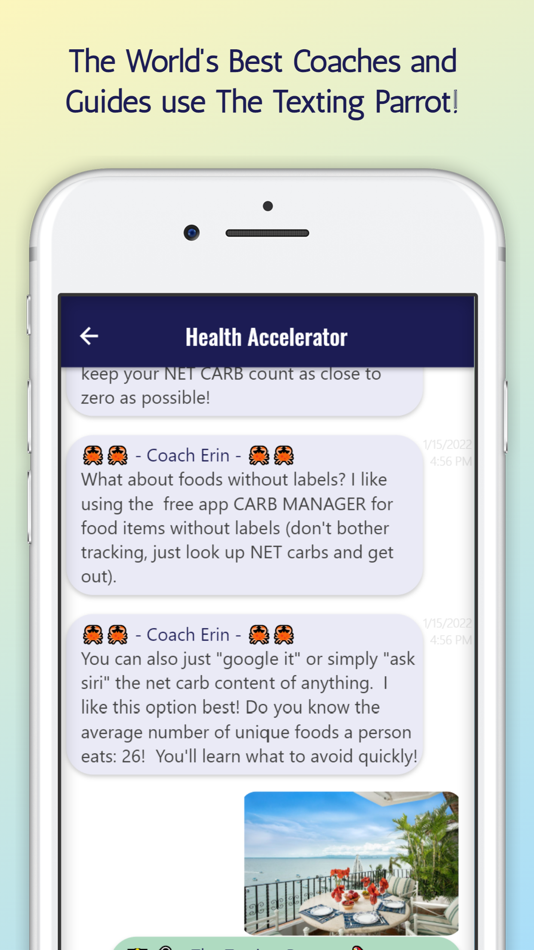 #1. The Texting Parrot (iOS) 由: Adam Fleischhacker