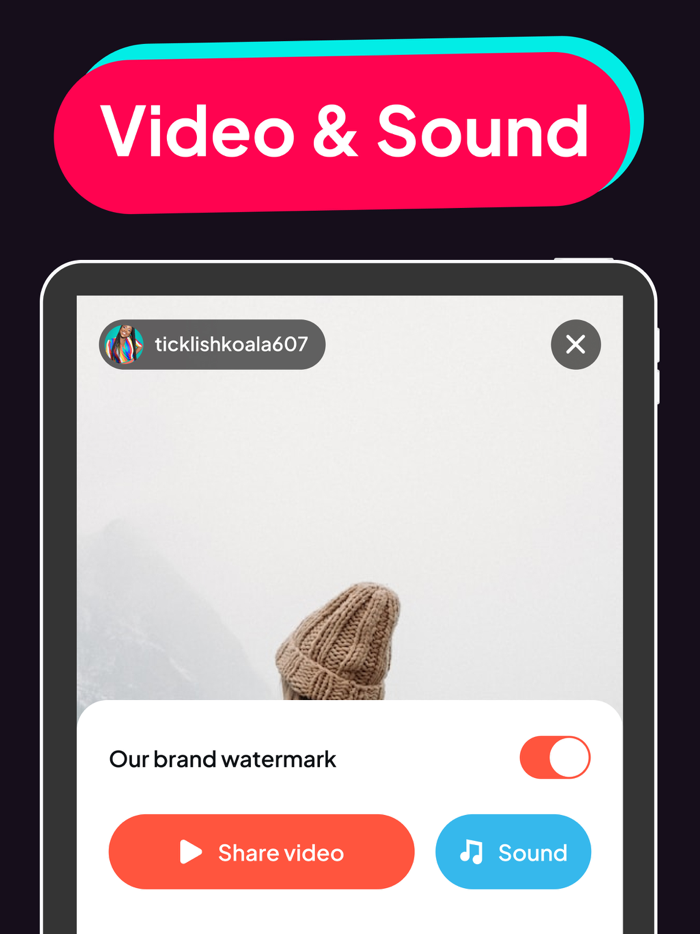 SnapTik Tok Video Saver TMate