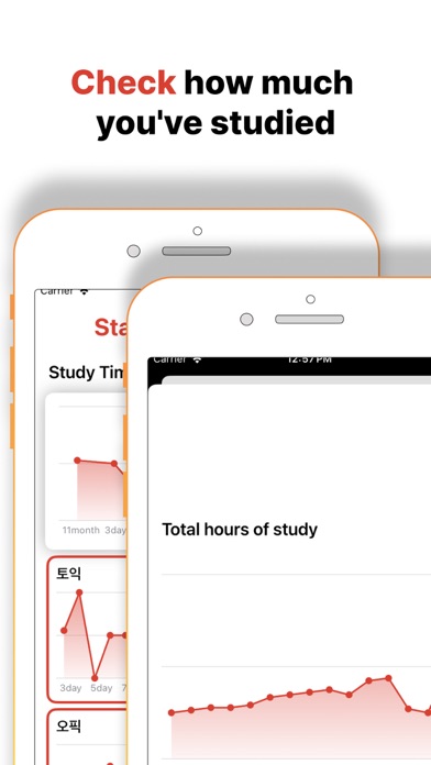 Strudy Timer Screenshot