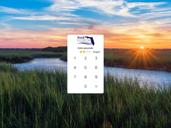 BankFlorida Mobile iPad screenshot 2 - Finance app