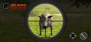 Wild Sport Hunting Sniper Game screenshot #3 for iPhone