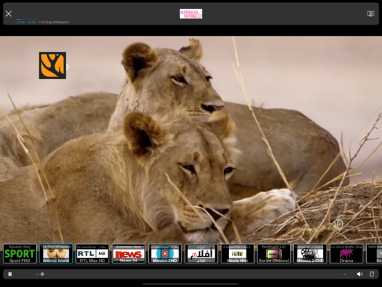 IPTV Streamer Pro iPad app afbeelding 4