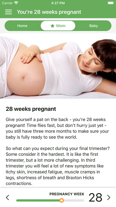 Pregnancy App. Screenshot