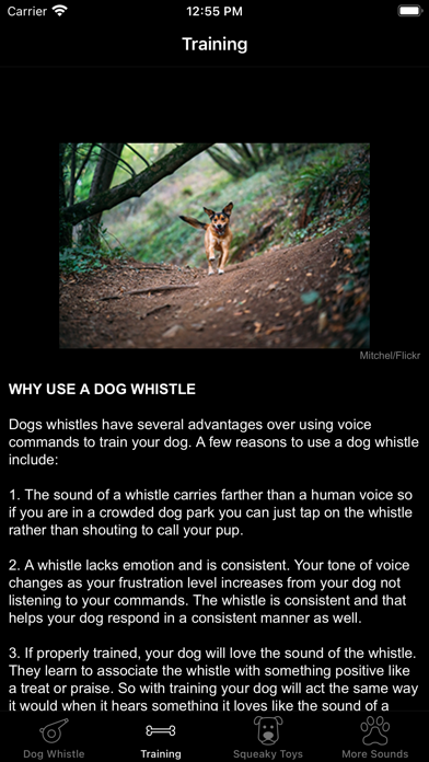 Dog Whistle & Squeaky Toy Screenshot