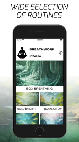 Game screenshot Breathwork Prana apk