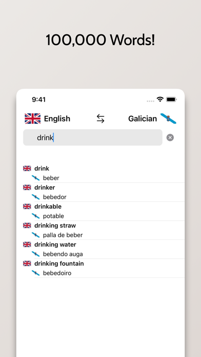 Galician-English Dictionary Screenshot