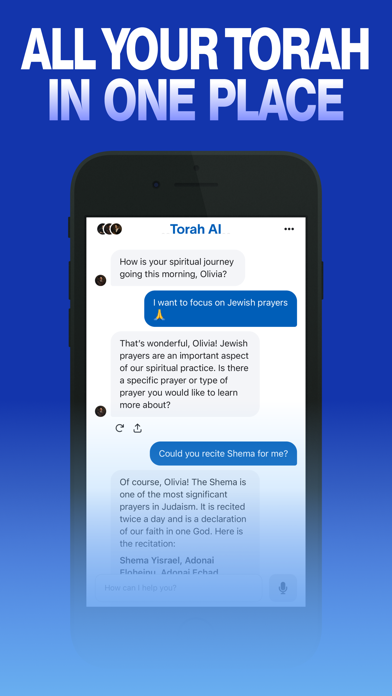 Torah AI - Hebrew Bible Screenshot