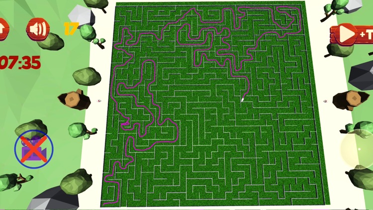 Maze Escape: Rabbit Runner