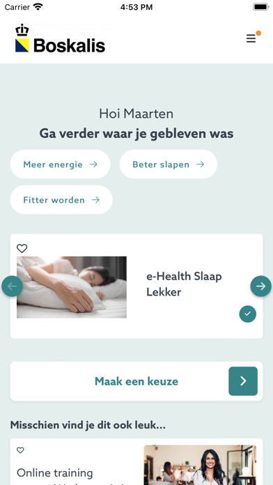 Boskalis Fit Screenshot