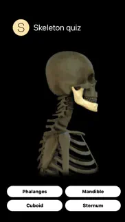 human skeleton quiz iphone screenshot 3