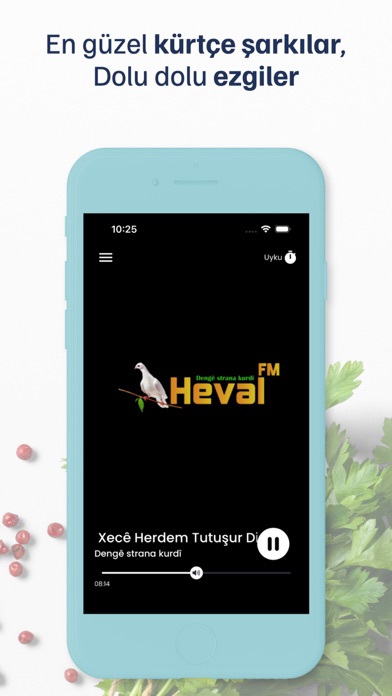 Heval FM Screenshot