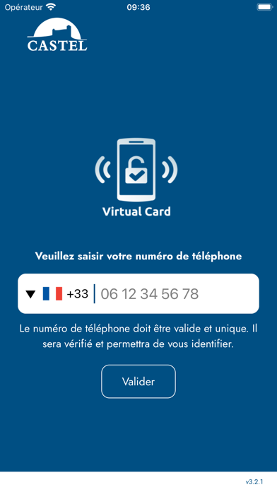 Castel Virtual Card Screenshot