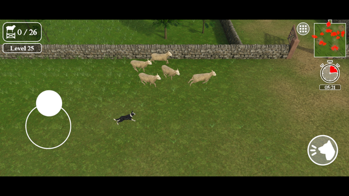 Sheep Dog Challenge