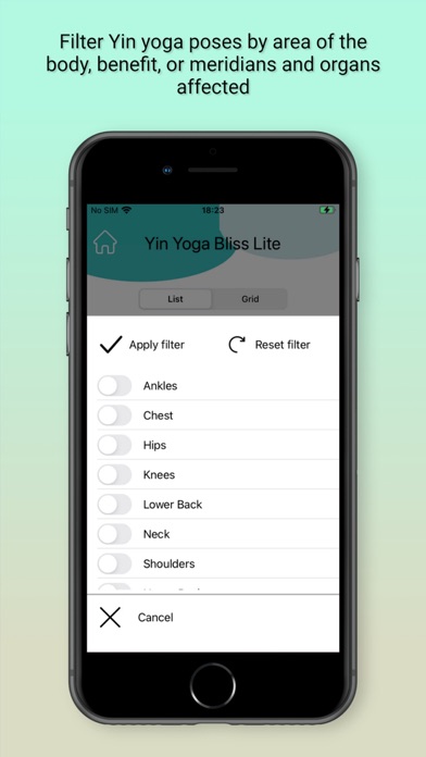 Yin Yoga Bliss Lite Screenshot