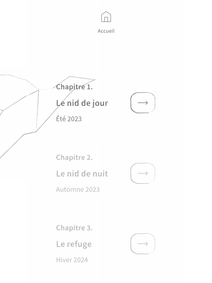 Les oiseaux de la Philharmonie