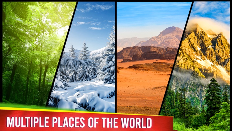 Safari Hunting Sniper 3D screenshot-4