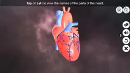 heart - an incredible pump iphone screenshot 1