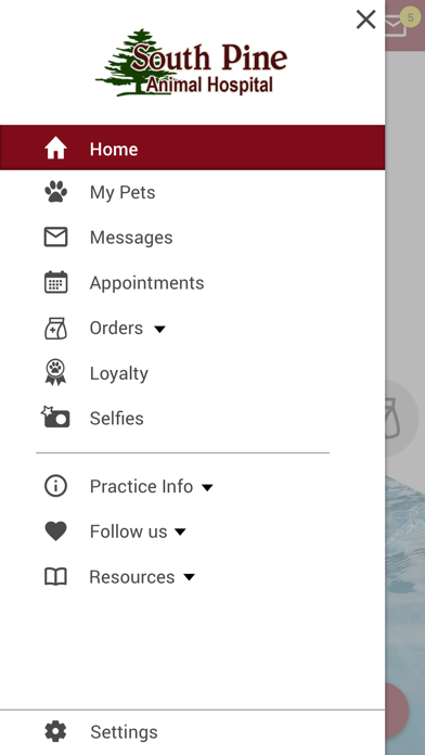 South Pine Animal Hospital Screenshot