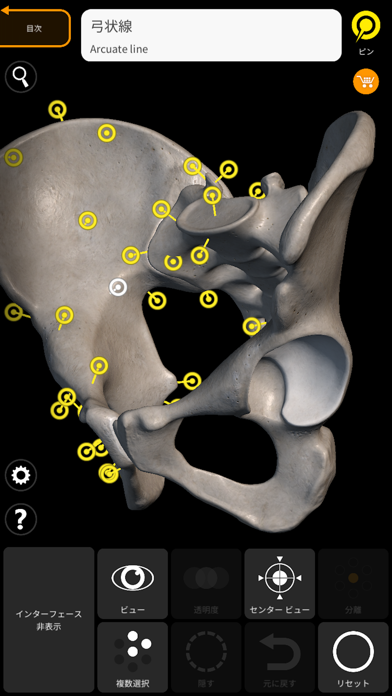 骨格 - 解剖学3D アトラスのおすすめ画像3