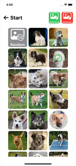 Game screenshot Slider Dog hack