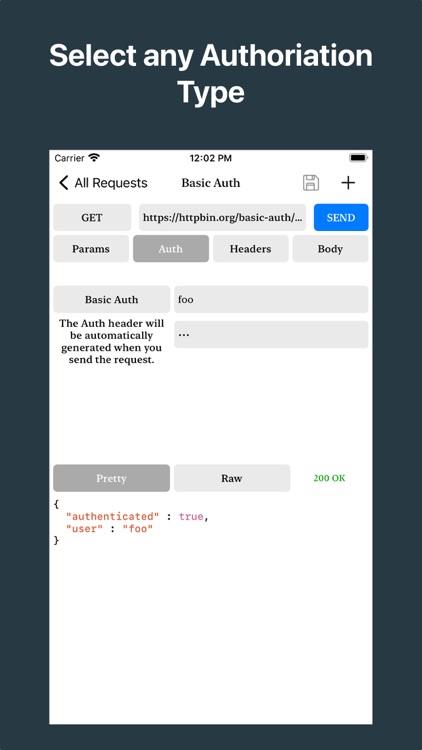 REST API Client screenshot-5