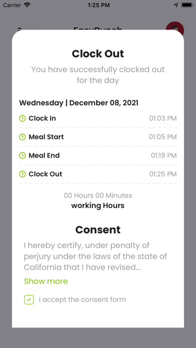 EasyPunch Auto Screenshot