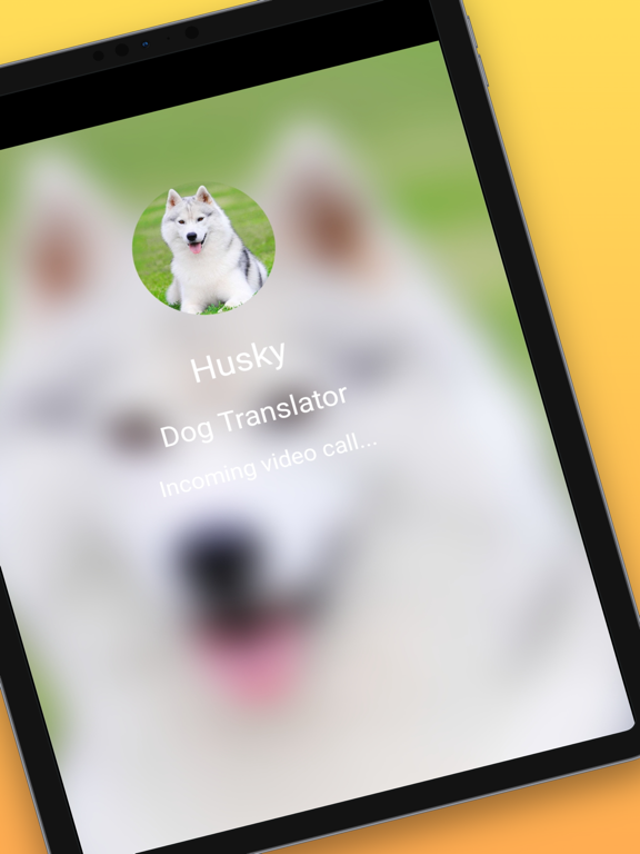 Dog Translator Prank Simulator iPad screenshot 2 - Lifestyle app