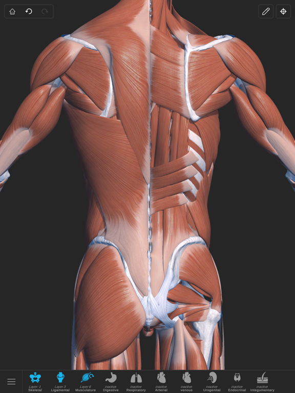 Visual Anatomy 3D - Humanのおすすめ画像9