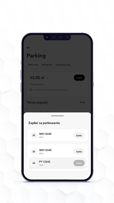 Parking Posnania Screenshot