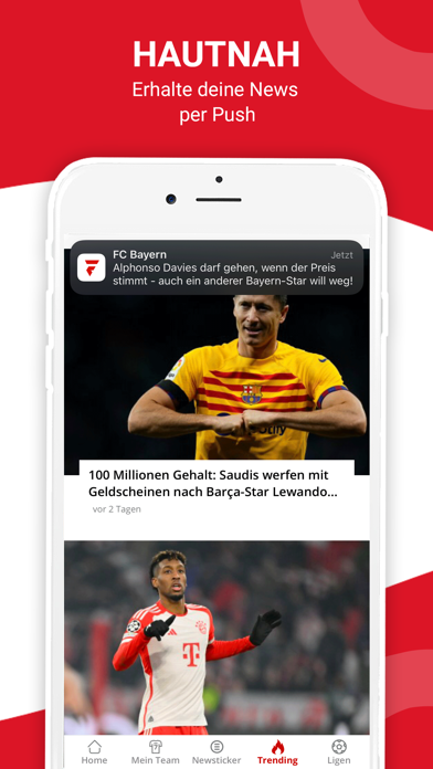 Fussball Europa Screenshot
