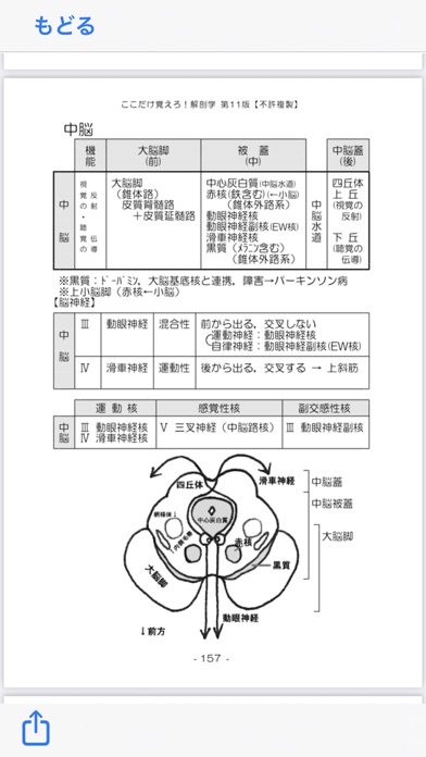 解剖学NOTE 第11版のおすすめ画像9