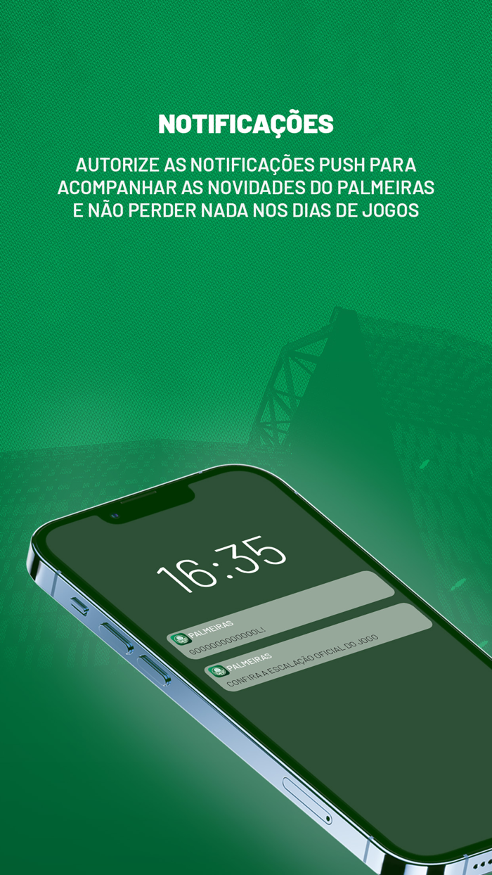 Palmeiras Oficial