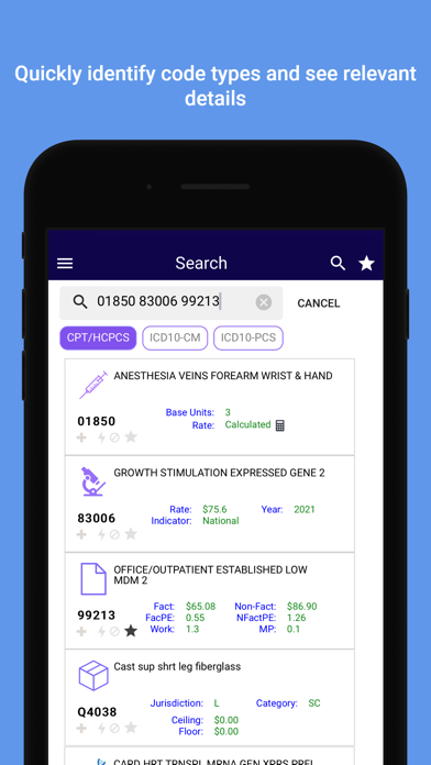 iCoder CPT RVU ICD10 HCPCS Screenshot