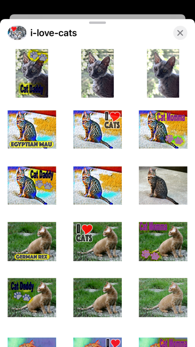 I Love Cats Sticker Pack Screenshot