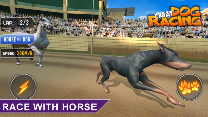 Crazy Dog Racing -Dog Games Screenshot