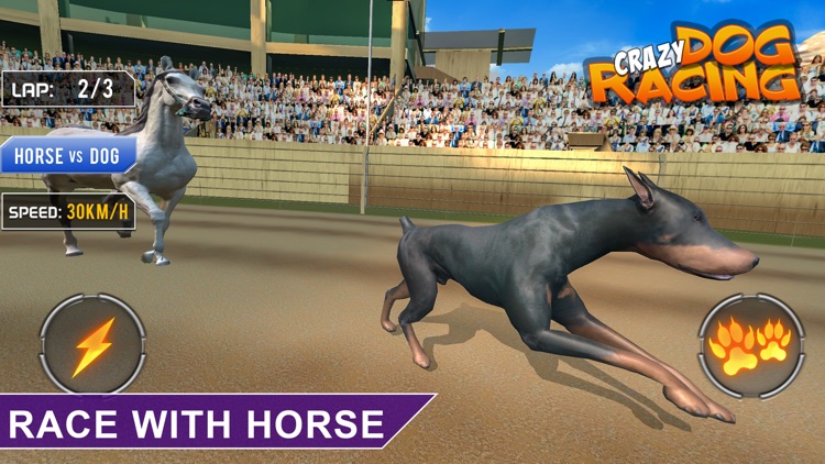 Crazy Dog Racing -Dog Games screenshot-6