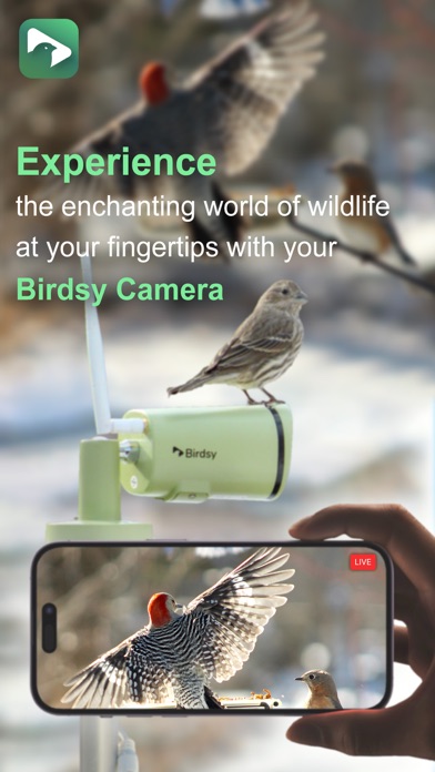 Screenshot #1 pour BirdsyCam
