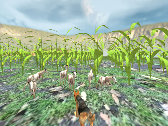 Shepherd DogWild Animal Game